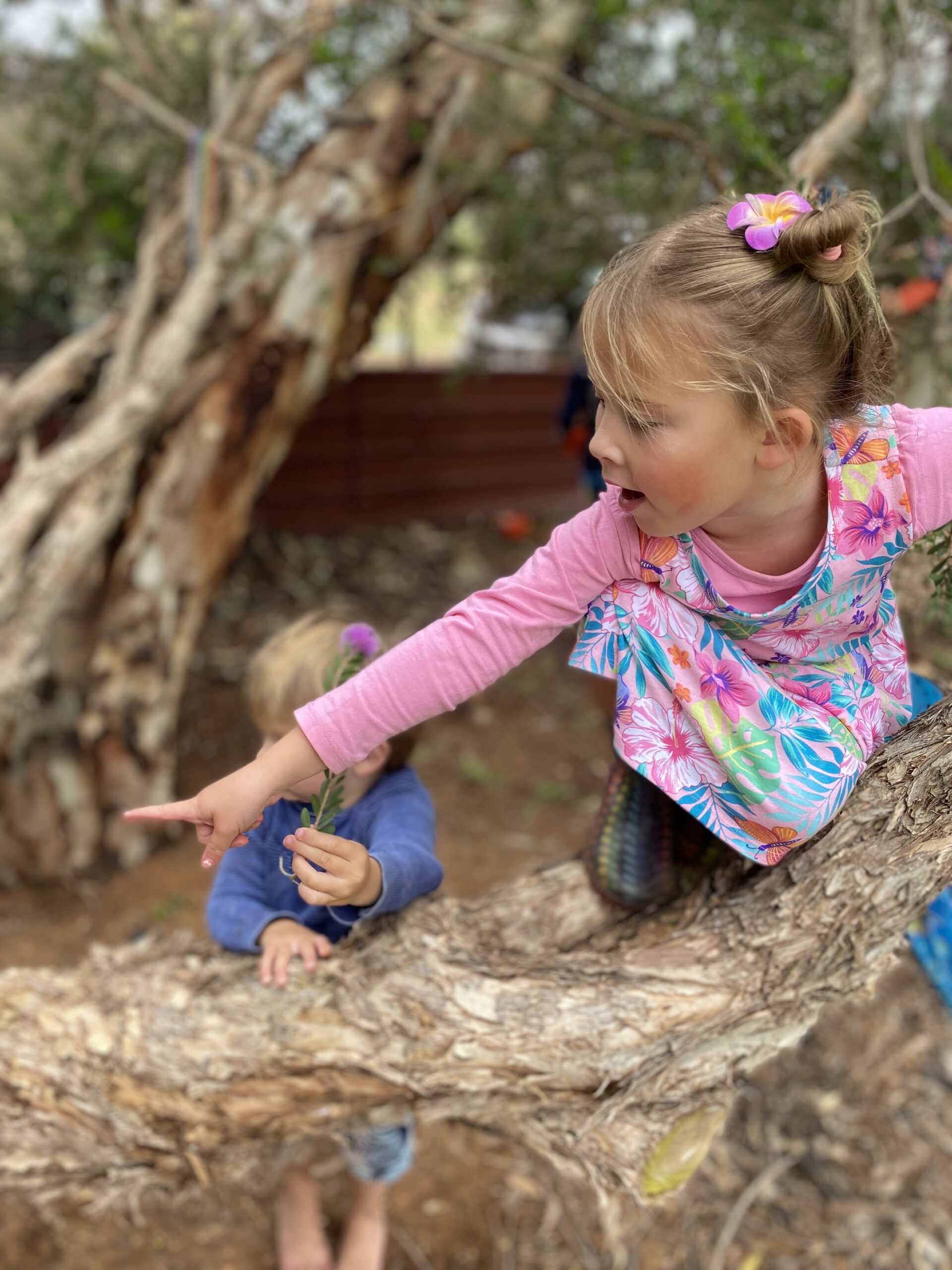 Nature and Learning