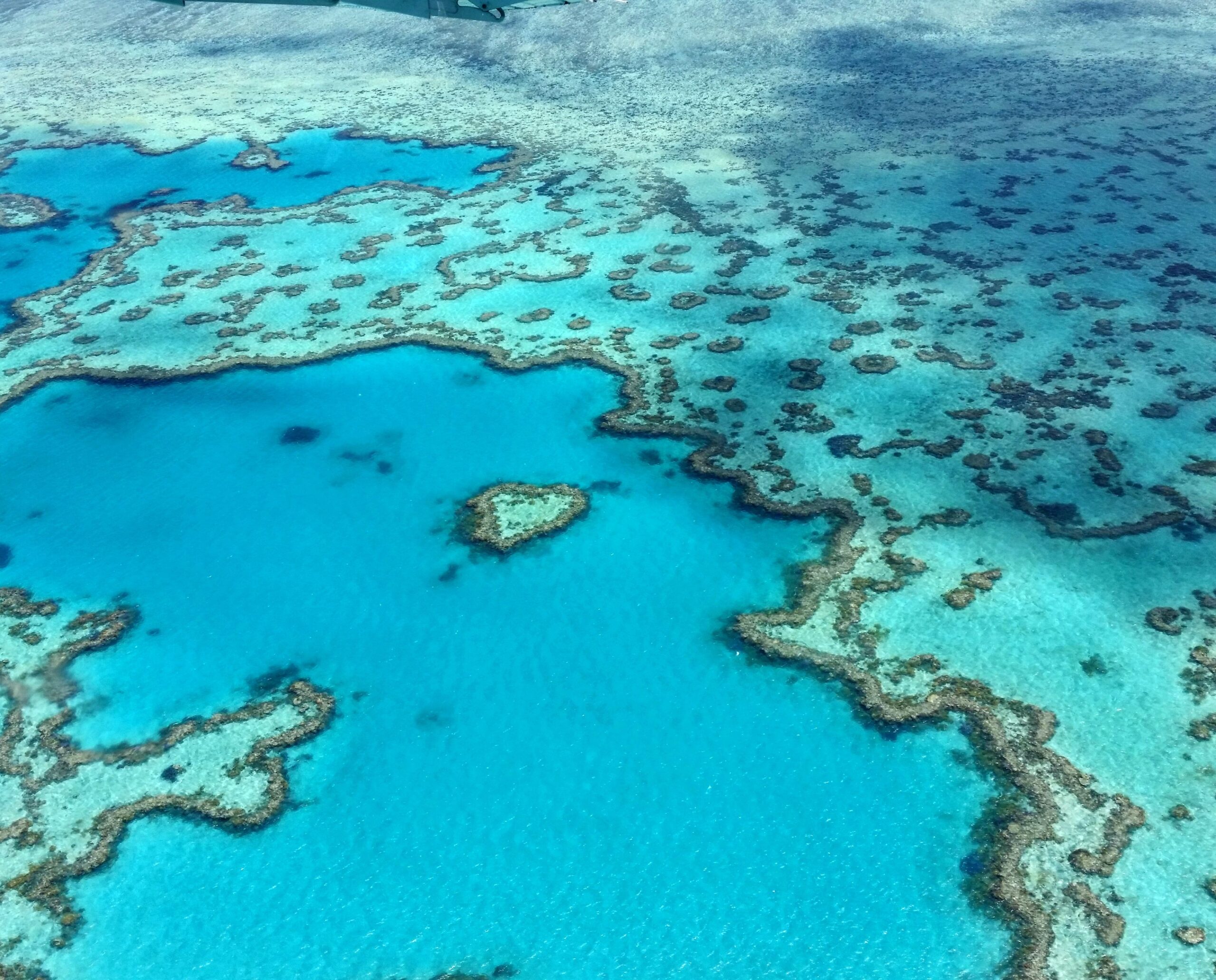 Aerial Coral Reef View